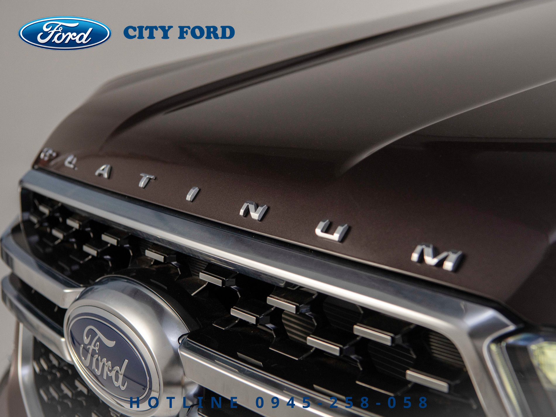 gia_xe_ford_everest_platinum_2025_ngoai_that_4