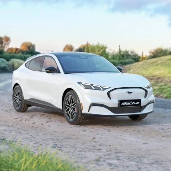 gia_xe_ford_mustang_mach_e_2025_9